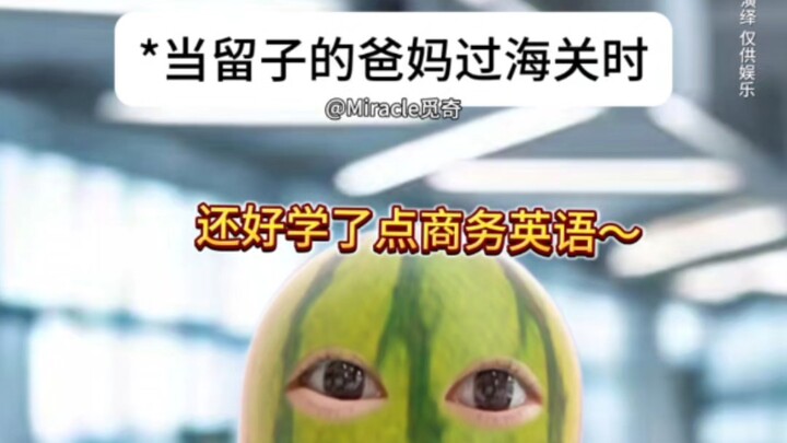 留子爸妈勇闯海关