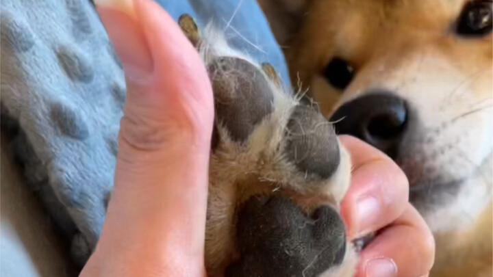 ลูกชายหัวแก้วหัวแหวนของแม่ (ดูลายมือหน่อยสิ)