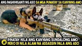 Para Ipaghiganti ANG KANYANG SUNDALONG AMO, NAGSANAY ANG ASO PARA MAGING ISANG MALUPIT NA ASSASSIN