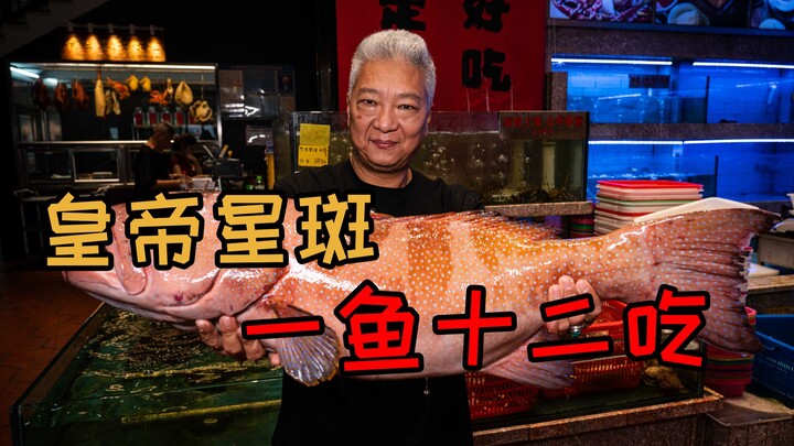 【พี่ชางชิงเจี๋ย】ปลาดาวจักรพรรดิหนักกว่ายี่สิบกิโลนี้ให้เชฟได้ฝึกมือกัน!