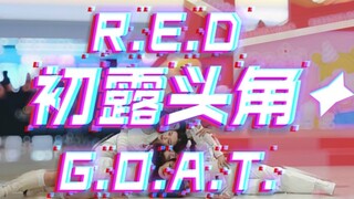 【RED-GOAT】Satu-satunya lagu Mandarin dalam musik dansa K-pop? .... Grup cewek kromosom 100% memprodu