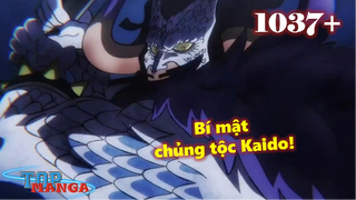 [One Piece 1037+]. Tửu Long Bát Quái chưa phải át chủ bài cuối cùng? Bí mật chủng tộc của Kaido!