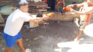 May 1 pula vs buyugin