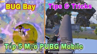 Tốp Mẹo Chế Độ Mối Nguy Thực Vật | Mẹo BUG Xu Mua Đồ | Meo BUG Bay Như Hacker - PUBG Mobile.