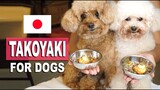 HOW TO MAKE TAKOYAKI FOR DOGS | Poodle Mom
