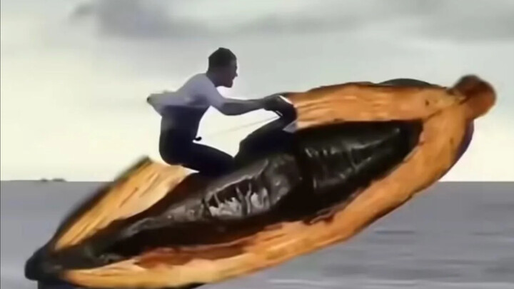 [Meme] If you laugh, you’ll have to ride a premium big fruit around the sea #4