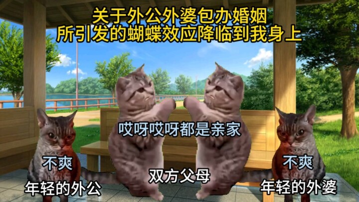 【มีมแมว】สาเหตุพื้นฐานที่ทำให้เกิดประสบการณ์ของฉัน