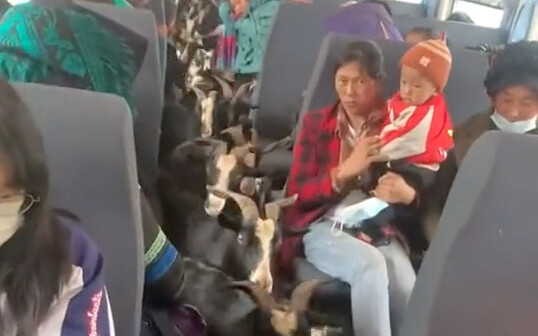 Passing by with Sheep Emperor