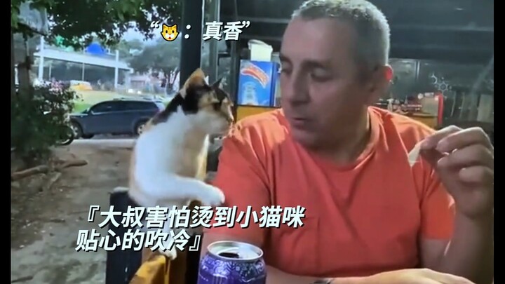 谁能拒绝一只礼貌暖心的小猫咪呢