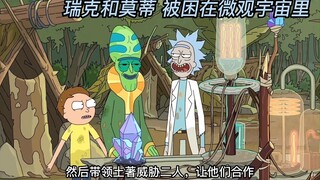 Rick dan Morty terjebak di dunia mikro