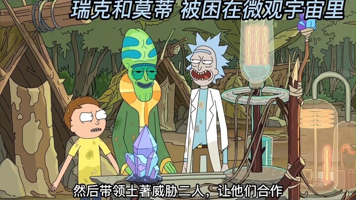 Rick และ Morty ติดอยู่ในไมโครเวิร์ส