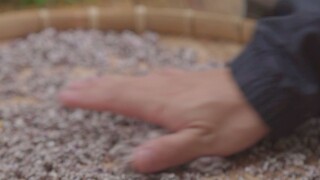 穿越技能  染料篇之胭脂虫（下）