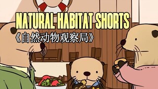 【新鲜出炉】230721《自然动物观察局》- Natural Habitat Short