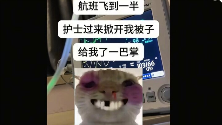 เหตุการณ์พยาบาลจี้เครื่องบิน