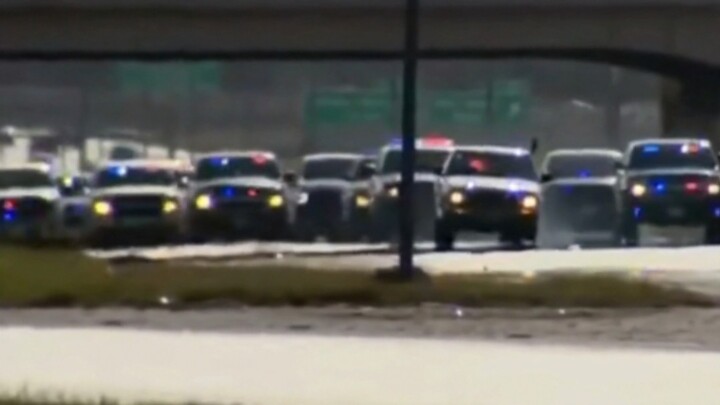 ⭐️⭐️⭐️⭐️⭐️