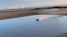 Playing by the seaside, risking the board getting burned