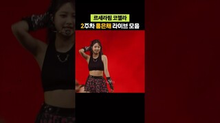 2주차 코첼라 르세라핌 홍은채 라이브 모음