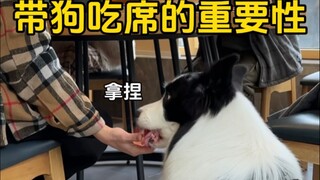 Pentingnya Membawa Anjing Anda ke Pesta