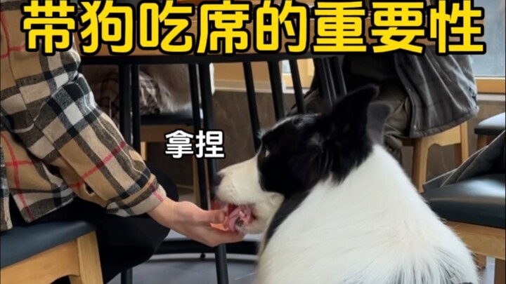 The Importance of Bringing Your Dog to a Banquet