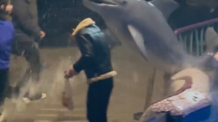 วาฬสีขาว: จะคุยไรกับเขาให้เสียเวลาล่ะ?