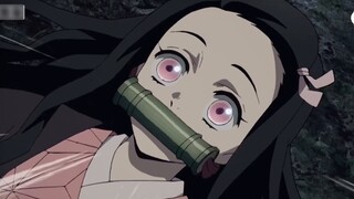 Jika Nezuko adalah gadis cerewet Sichuan 02... [Suara dialek]