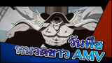 [วันพีซ AMV] [นิวเกตหนวดขาว] หัวใจแห่งไฟ