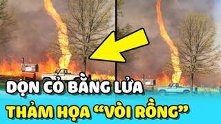 💥Người đàn ông DỌN CỎ suýt gây ra THẢM HỌA vì "VÒI RỒNG LỬA" | TIN GIẢI TRÍ