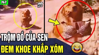 Tổng Hợp Tình Huống  "HÀI HƯỚC KHÓ ĐỠ " Xem Đi Xem Lại Vẫn Cười Té Ghế P767 |Trùm Tin Hài