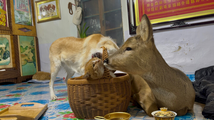 A Gathering on the Kang (Traditional Chinese Hearth)