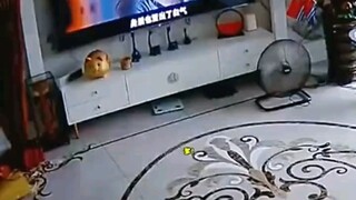 不是一家人，不进一家门