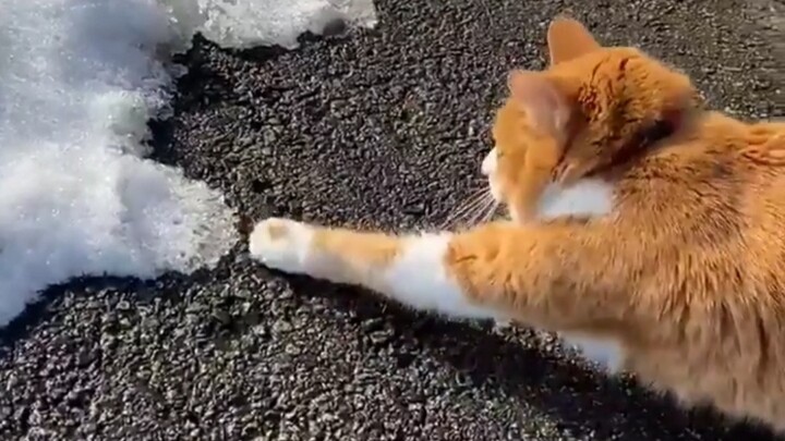 เพราะอยากรู้อยากเห็นเกินไป เลยตัดสินใจเอื้อมมือไปจับดู