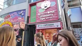 Japan Vlog Ep #2 💖✨Akihabara | Harajuku | Shibuya