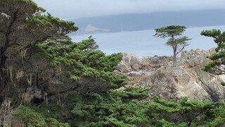 Con Đường Ven Biển đẹp nhất Cali ở Mỹ khiến dân du lịch tìm kiếm đến đây