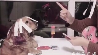 汪：别人不发火，就把别人当傻子是吧？