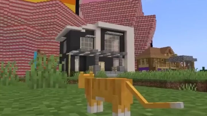 Kucing: Tsunami TNT, apakah aku bisa selamat?