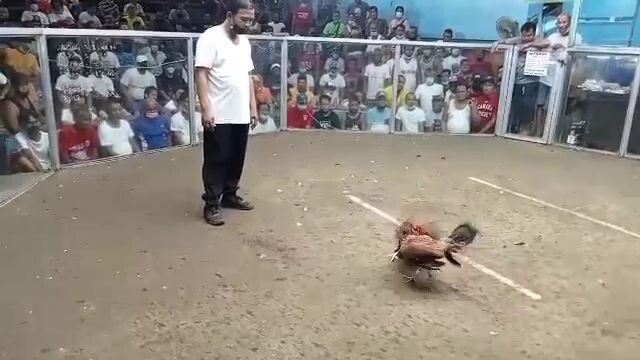 tabla pangalwang bitaw mga boss