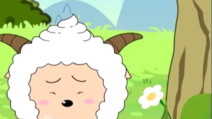 "Touching the Grassland" - Hot Sheep