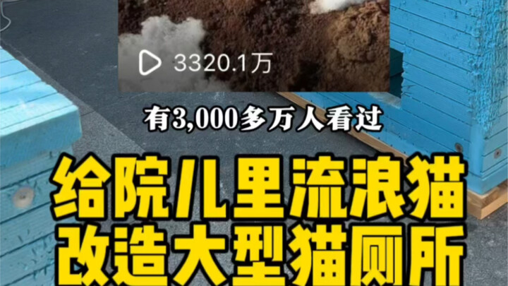 ดัดแปลง “ห้องน้ำแมวขนาดใหญ่สำหรับฤดูหนาวกลางแจ้ง” ให้กับแมวจรจัดในบริเวณบ้าน