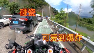 小狗狗太可爱了，没法带走。