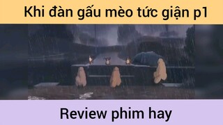 Khi đàn gấu mèo tức giận p1