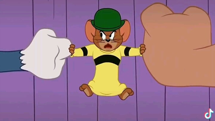 Tom and Jerry battle ceiling