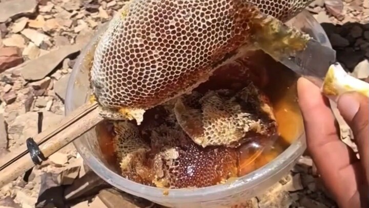 the best Honey
