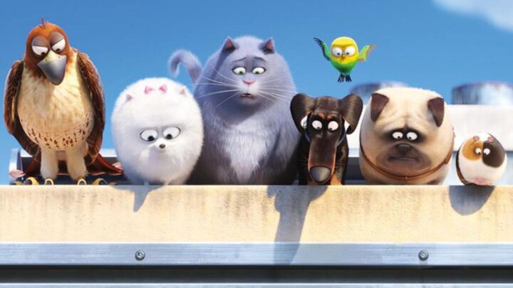 The Secret life of pets 2016 ( Sub indo )