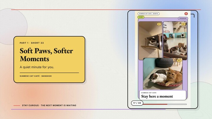 Siamese Cat Café #17 — Soft Paws, Softer Moments + Rainy Day at the Cat Café