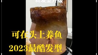2023最酷发型头上可养鱼