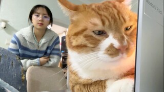 تعبيرات الوجه غنية جدًا، جوان (الاسم المستعار لدونغيوان)