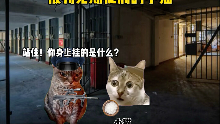 Perhaps the "kitten sentenced to life in prison"