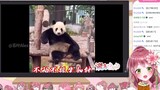 【熟】日本萝莉女仆震惊中国熊猫会功夫都是真的【飞鸟尤卡里】