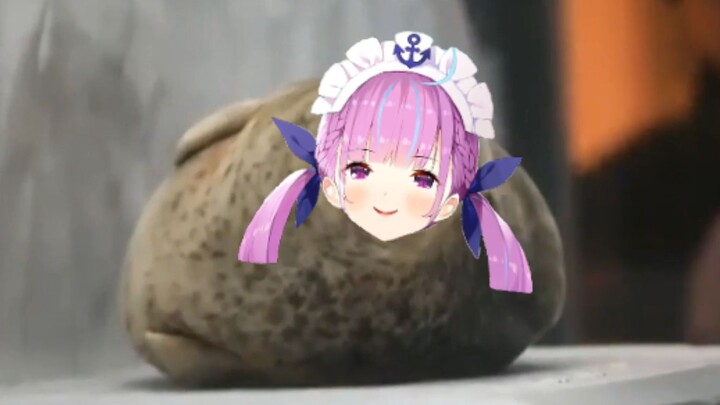debu Aqua a lot