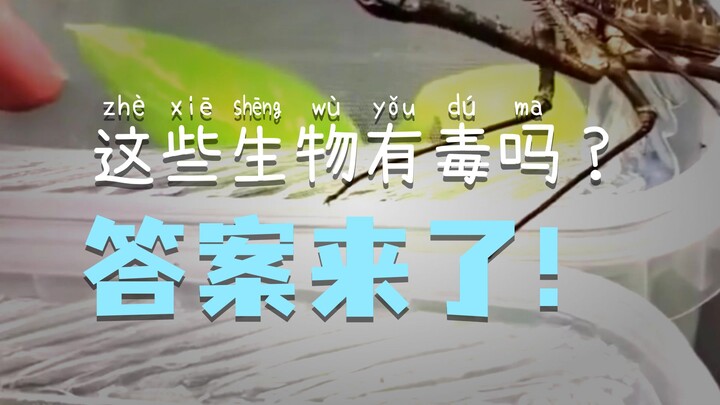 هل هذه الكائنات سامة؟